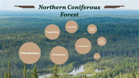 Northern Coniferous Forest Biome By Claire Buck