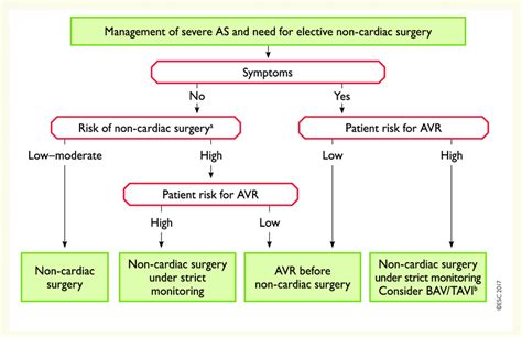Management Of Severe Aortic Stenosis And Elective Non Cardiac Surgery