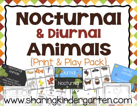 Nocturnal Animals Diurnal Animals Nocturnal Animals Nocturnal