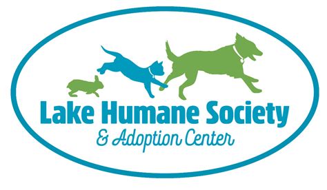 Pets For Adoption At Lake Humane Society In Mentor Oh Petfinder