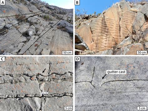 Field Photographs Of Common Sedimentary Structures In The Subtidal Sand