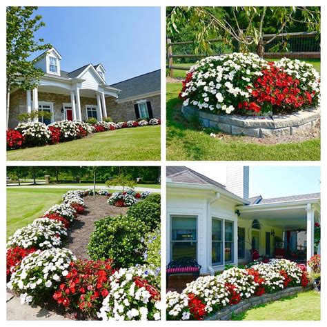 A Beautiful Display Of Red And White Sunpatiens Shade Garden Outdoor