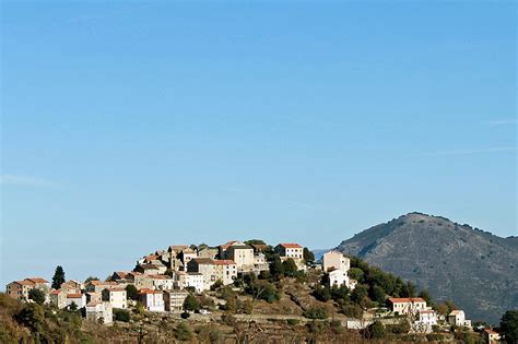 Free Photo Corsican Mountain Maquis Island Island Of Beauty