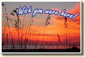 New smyrna beach rv park and campground. Wish you were here! | Rv parks and campgrounds, Florida ...