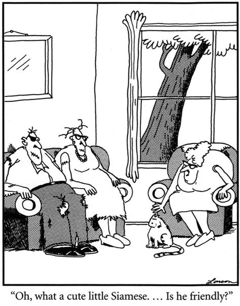 13 The Far Side Comic Strips Featuring Cats Far Side