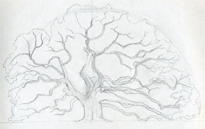draw  oak tree angel oak tree