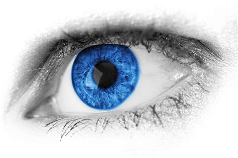 ¿sabías Qué En El Fondo Todos Tenemos Los Ojos Azules