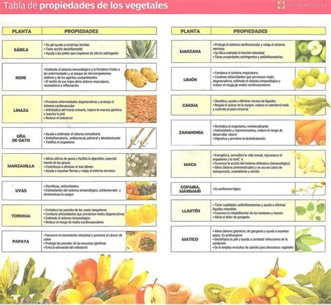Tabla De Alimentos Y Sus Propiedades Frutas Y Verduras Vegetales