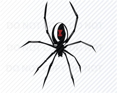 Black Widow Spider Svg Files Vector Images Clipart Spiders Etsy Uk