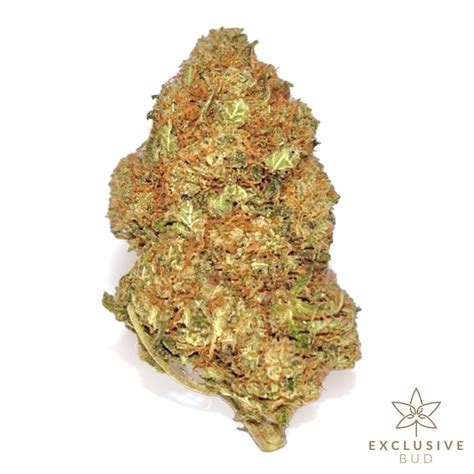 Buy Gorilla Glue 4 Aaa Shop For Weed Online In Canada