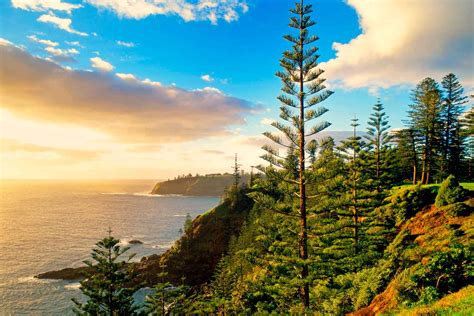 Norfuk ailen) is a small inhabited island in the pacific ocean located between australia, new zealand and new caledonia, and along with two neighboring islands, forms one of australia's external territories. garden better bonus norfolk island part one | Better Homes ...