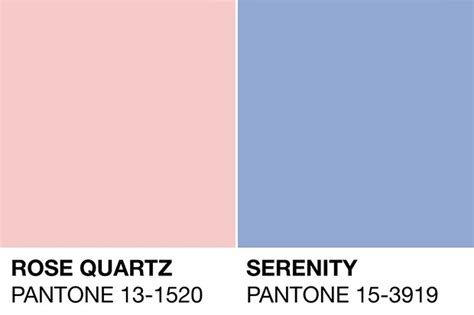 Pantone Color Of The Year 2016 — Newstudio Architecture