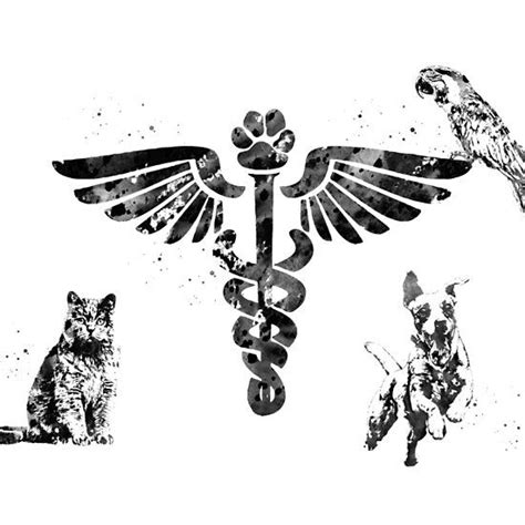 Veterinary Clinic Symbol Vet Tech Tattoo Veterinarian Tattoo Animal