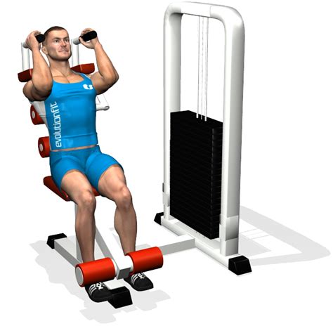 AB CRUNCH MACHINE INVOLVED MUSCLES DURING THE TRAINING ABDOMINALS Workout For Flat Stomach Ab