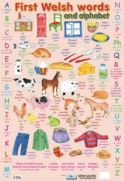 ~ first Welsh words poster for children ~ | Learn french, Teaching ...