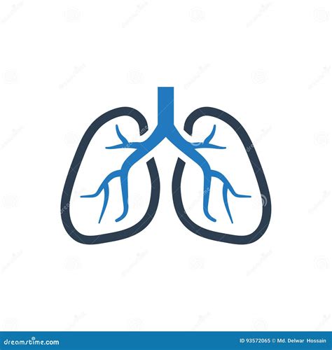 Human Lungs Schematic Illustration Of Human Lungs With Blood Vessels