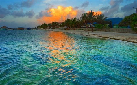 Tropical Beach Sunset Image Id 291294 Image Abyss