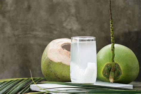 Coconut Water Based Drinks To Try This Summer Hotfridaytalks