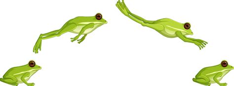 Green Tree Frog Jumping Sequence Isolated On White Background 1929029