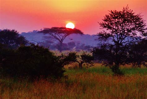 Sunset Over The Serengeti Plain Tanzania Travel Photos Holiday