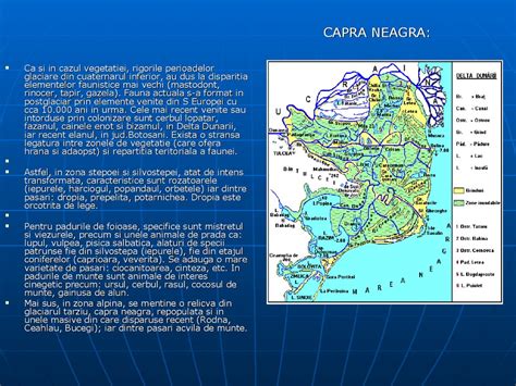 It is the third largest country in europe after russia and ukraine. Pozitia geografica a Romaniei - online presentation