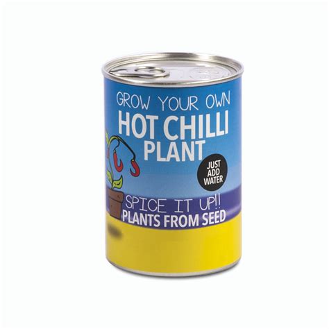 Grow Your Own Chilli Plant Decorative Tin Kit By Plants From Seed