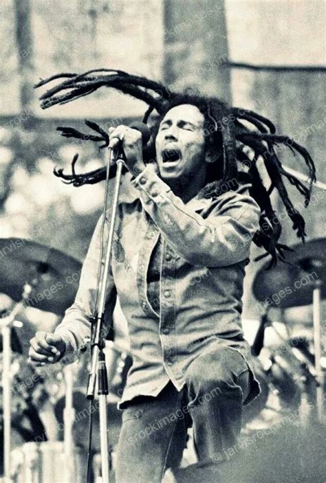 Rei Do Reggae Reggae Rasta Rasta Man Reggae Music Reggae Bob Marley