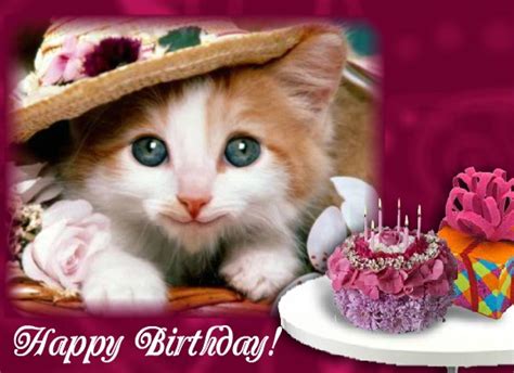 Birthday Singing Kitten Free Funny Birthday Wishes Ecards 123 Greetings