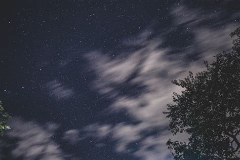 Scenery Of Night Starry Sky Shining Through Tree Branches · Free Stock