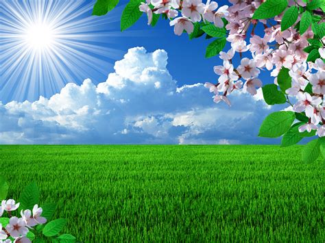 72 Cool Spring Backgrounds