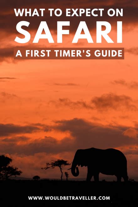 What To Expect On Safari A Typical Day And First Timers Tips In 2020