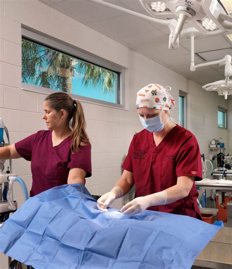 Humane Society - BDG