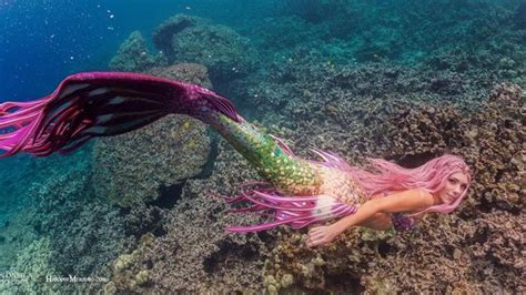 Hannah Fraser Is The Worlds First ‘freelance Mermaid Working As An