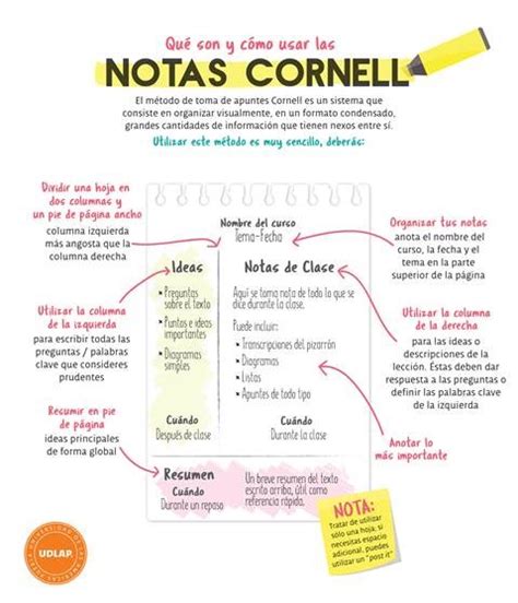 Qu Son Y C Mo Usar Las Notas Cornell Blog Udlap