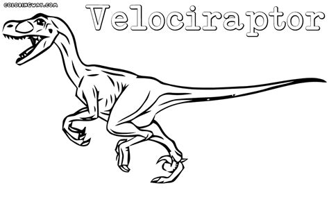 Tommaso raptor attributes & benefits. Velociraptor coloring pages | Coloring pages to download ...