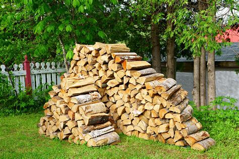 Your Wood Pile Could Be Featured In A Maine Artists Book