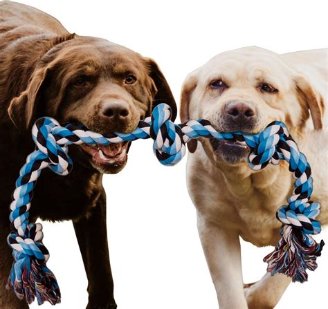 The Best Dog Rope Toy Reviews Pet Toy Uk 2021