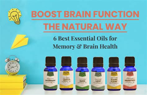 6 Best Brain Boosting Essential Oils Updated April 2020 Aroma Foundry