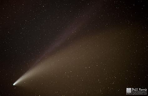 comet neowise in the evening sky nature and wildlife photography forum digital photography review