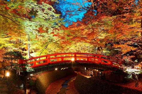 【2024年版】京都でおすすめの紅葉ライトアップスポット：見頃の時期を紹介 おすすめ旅行を探すならトラベルブックtravelbook