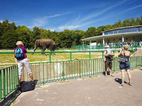 Zoo zajmuje powierzchnię ponad 47 ha. Itotoilluminati: Ogrod Zoologiczny Zoo Chorzow