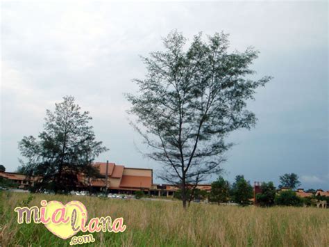 Mobile photo upload de felda residence tanjung leman. Felda Residence Tanjung Leman : Baru Sampai - Mia Liana