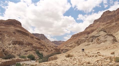 David Water Found In The Deserts Of Ein Gedi Youtube