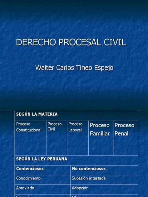 Etapas Del Proceso Civil Pdf Reunión Ley Procesal