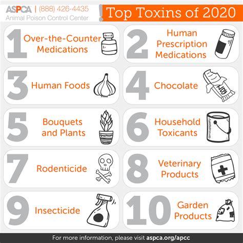 The Official Top 10 Pet Toxins Of 2020 All My Medicine