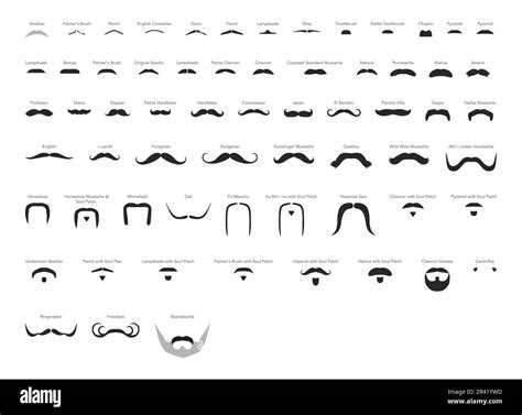 Types Of Mustaches And Their Names