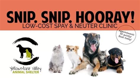 Low Cost Spay And Neuter Clinic
