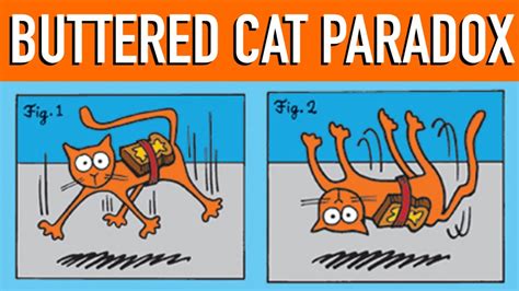 The Buttered Cat Paradox Shorts Youtube