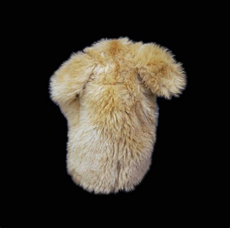 Gund Puppy Dog Hand Puppet Made In Korea Etsy Canada