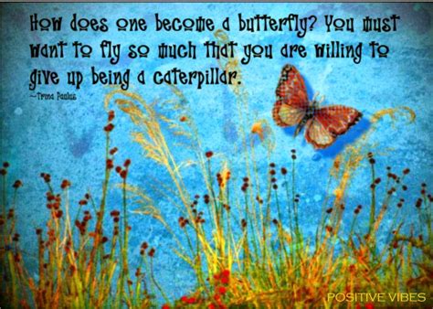 Butterfly Quotes About Life Quotesgram